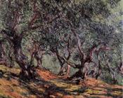 克劳德莫奈 - Olive Trees in Bordighera